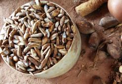 Babassu eļļa - augstākās kvalitātes kopšanas līdzekļi zemas porainības matiem