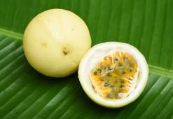 Marakujas eļļa - vitamīnu pastiprinātājs matu stilists