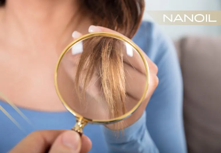 Matu porainība un tās noteikšanas veidi. Ko tas nozīmē, ka mati ir poraini?