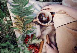 Pasaules mati. 5. daļa: Ziemeļamerikas stila matu kopšana