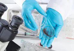 Matu anatomija. 2. daļa - Matu stieņu struktūra